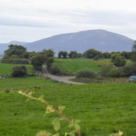 Twin Lake View - Bungalow In Pontoon Foxford Esterno foto