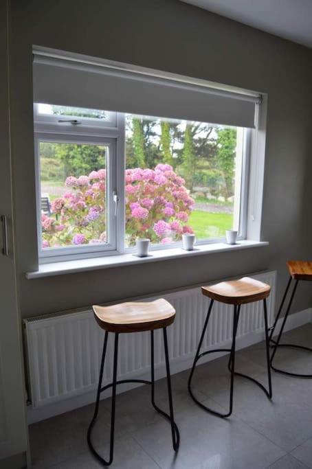 Twin Lake View - Bungalow In Pontoon Foxford Esterno foto