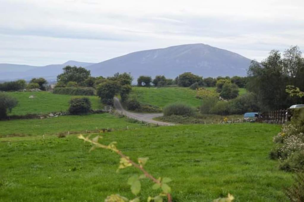 Twin Lake View - Bungalow In Pontoon Foxford Esterno foto
