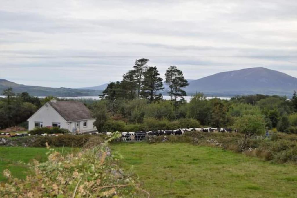 Twin Lake View - Bungalow In Pontoon Foxford Esterno foto
